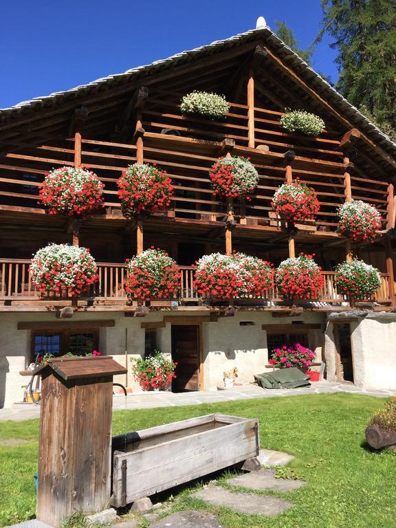 Wongade Hotell Gressoney-la-Trinité Eksteriør bilde