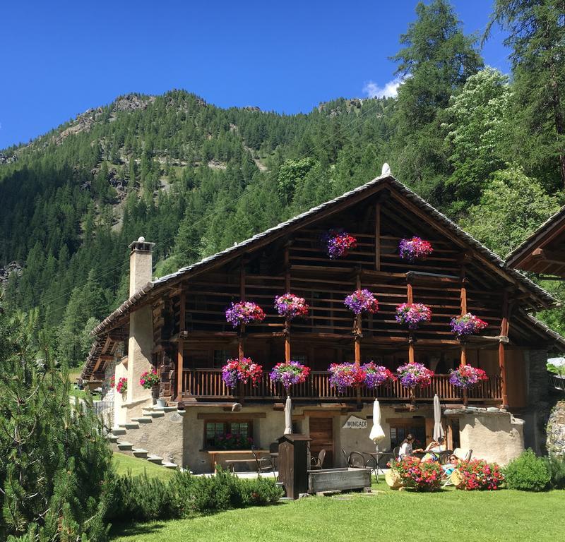Wongade Hotell Gressoney-la-Trinité Eksteriør bilde